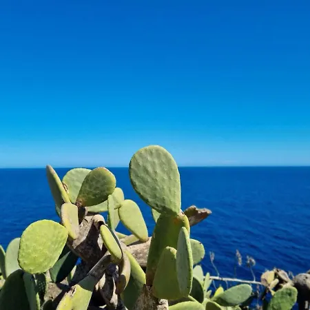 Casa Lesandar Auf Mallorca Felanitx